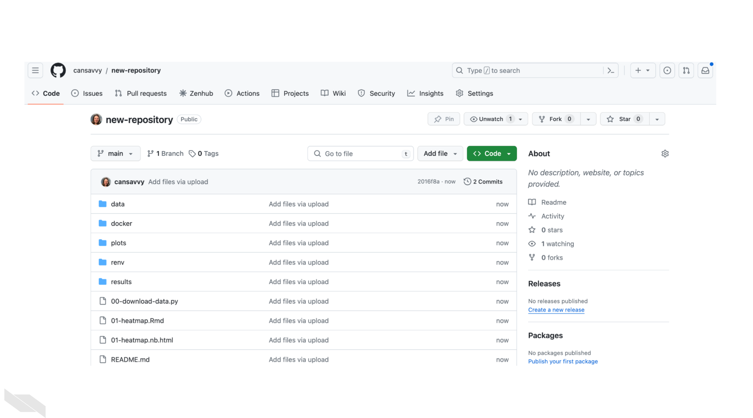 An image showing what a repository looks like with our example files loaded in.