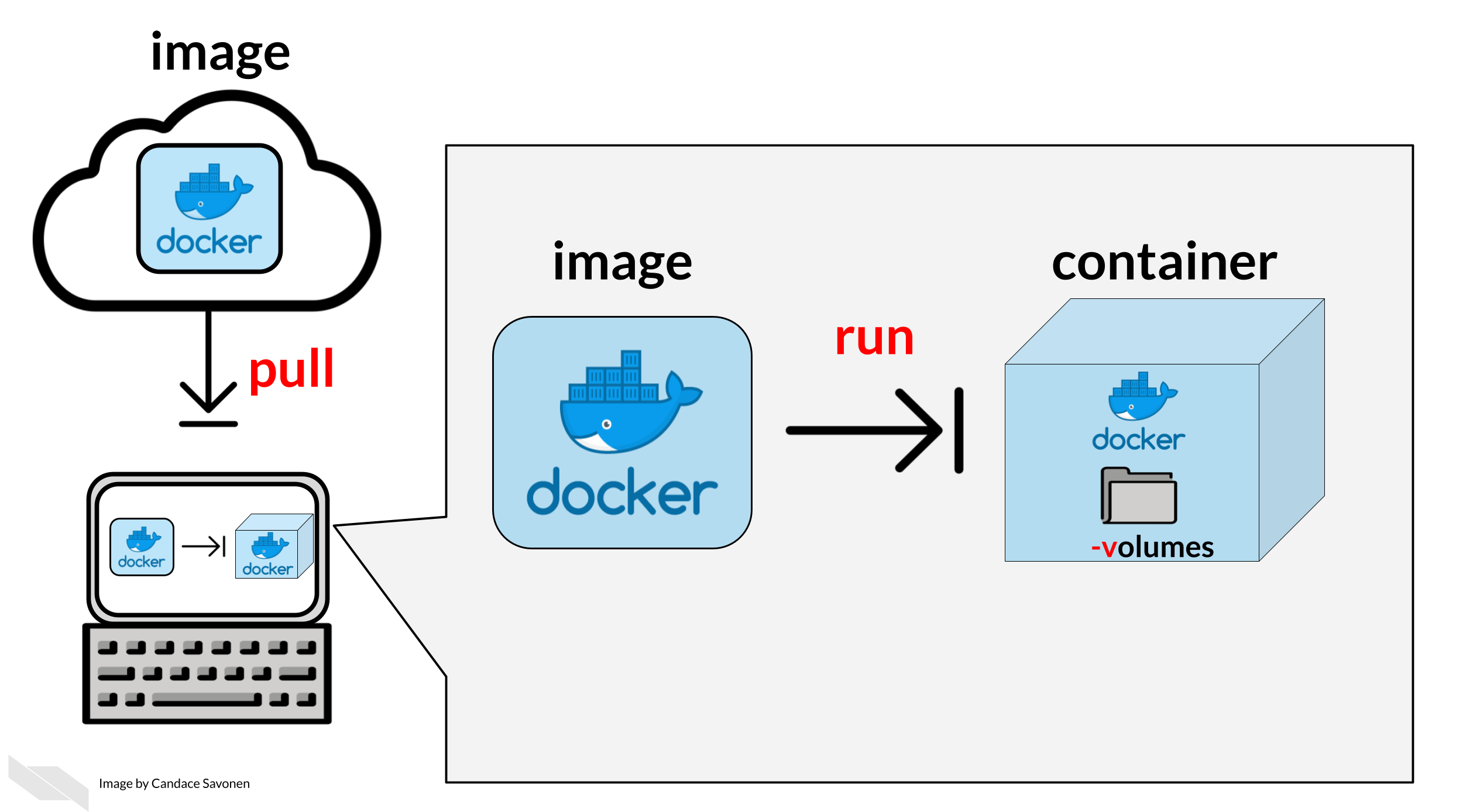 First we need to get the Docker image. A Docker image is like a snapshot of your computing environment that you can move from place to place. We can download images from online and then use them to make a container. Containers are what we use to actually run analyses.