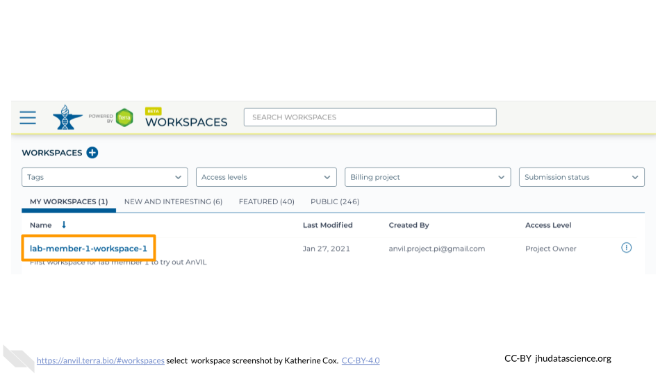 Screenshot of Terra Workspace page.  The name of a Workspace is highlighted.