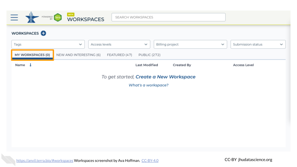 Screenshot of Terra "MY WORKSPACES" menu. The "MY WORKSPACES" tab is highlighted. No Workspaces are visible because none have been shared with the user. There is an option to create a new Workspace.