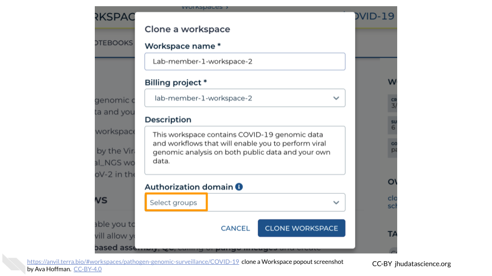 Screenshot of Terra popup dialog box for creating a new Workspace. The drop-down menu labeled "Authorization domain" is highlighted.