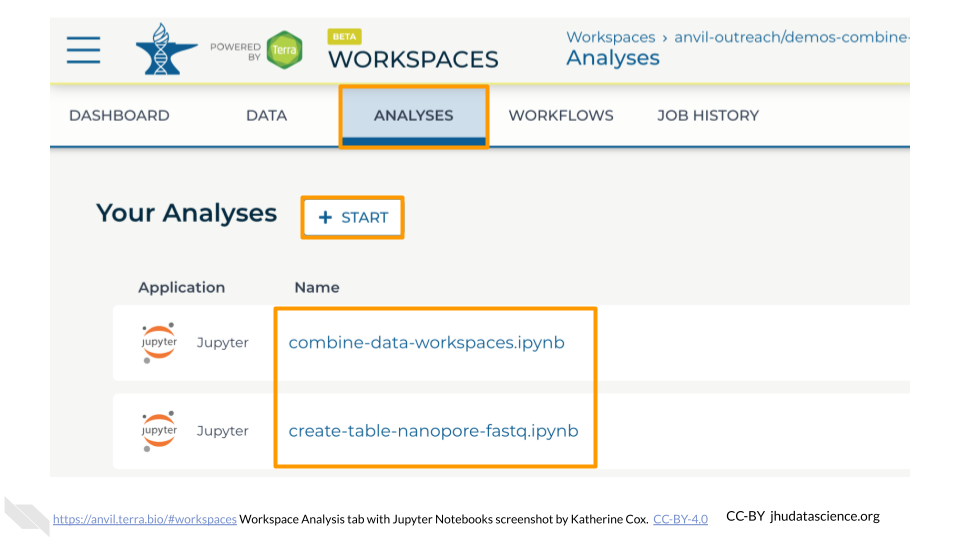 Screenshot of Terra Workspace with the 'ANALYSES' tab selected and highlighted.  The page shows a list of Jupyter Notebooks.  The Notebook names and the START button are highlighted.