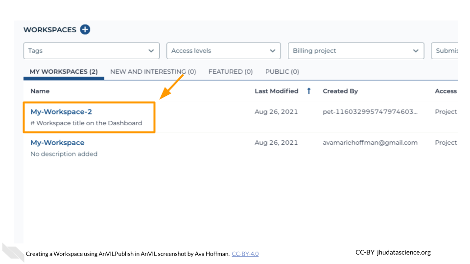 After running AnVILPublish, you should see the newly created Workspace in https://anvil.terra.bio/#workspaces.