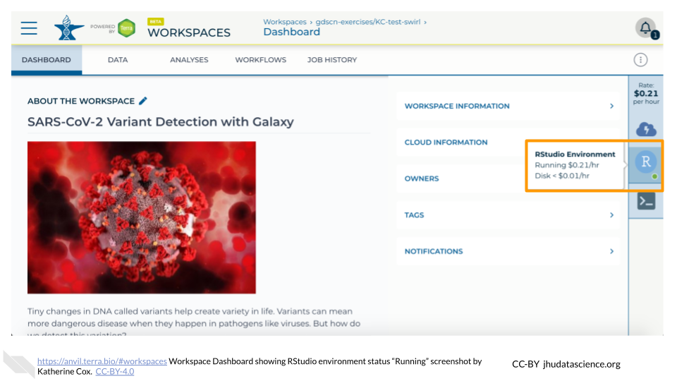 Screenshot of a Terra Workspace. The hovertext for the RStudio icon is highlighted, and indicates that the status of the environment is "Running".