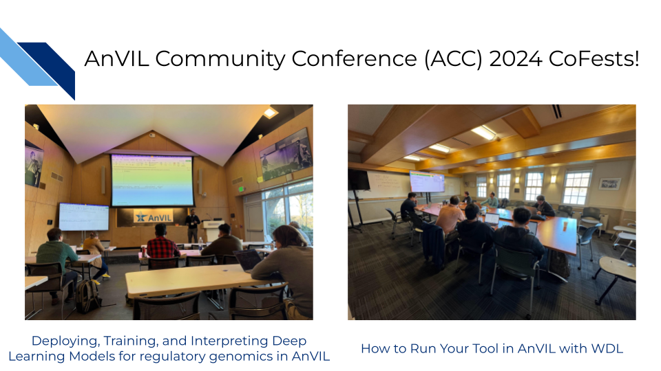 ACC 2024 CoFest! Images