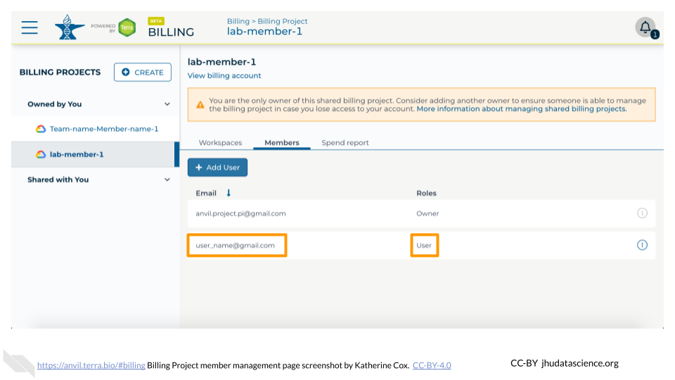 Screenshot of a Terra Billing Project member management page.  A user email and role are highlighted.