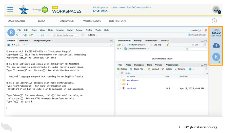 Screenshot of the RStudio interface. The cloud environment panel on the right is highlighted.