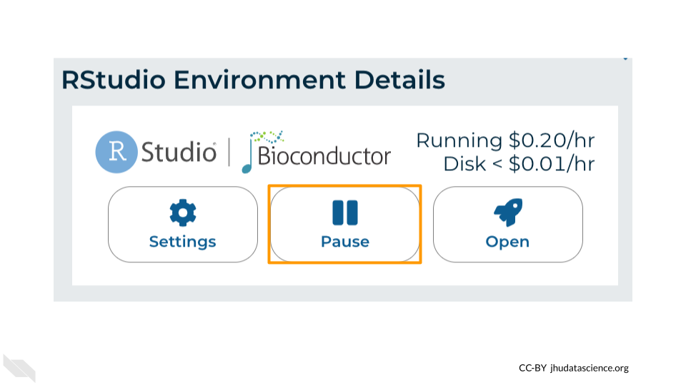 Screenshot of the RStudio cloud environment settings. The Pause button is highlighted.