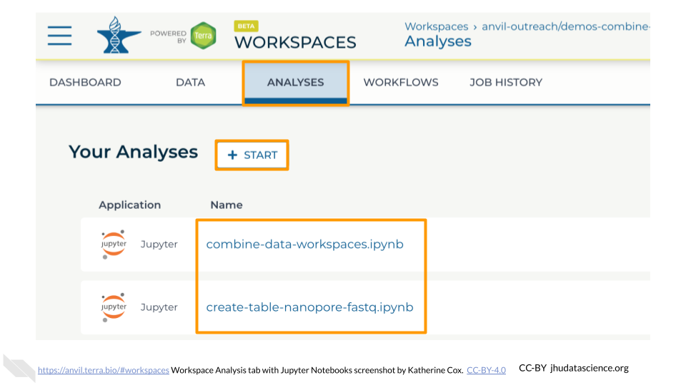 Screenshot of Terra Workspace with the "ANALYSES" tab selected and highlighted.  The page shows a list of Jupyter Notebooks.  The Notebook names and the START button are highlighted.