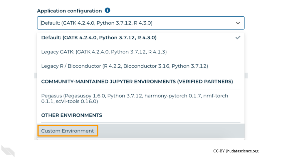 Screenshot of the Jupyter Cloud Environment "Application configuration" dropdown. The option "Custom Environment" is highlighted.
