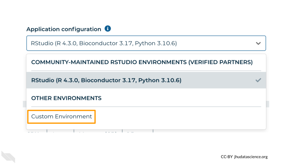 Screenshot of the RStudio Cloud Environment "Application configuration" dropdown. The option "Custom Environment" is highlighted.