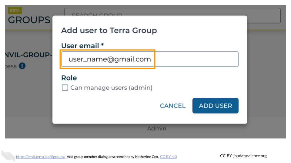 Screenshot of the dialog box for adding Terra Group members. The textbox labeled "User email" is highlighted and an email address has been entered.