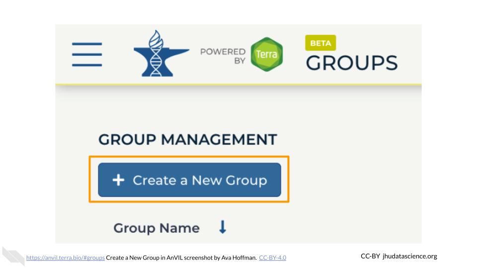 Screenshot of the Terra Group page. The "Create a New Group" button is highlighted.
