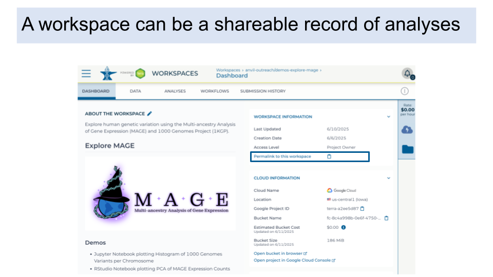 A workspace can serve as a shareable record of analyses. The ability to access the permalink to the example workspace is highlighted in this image.