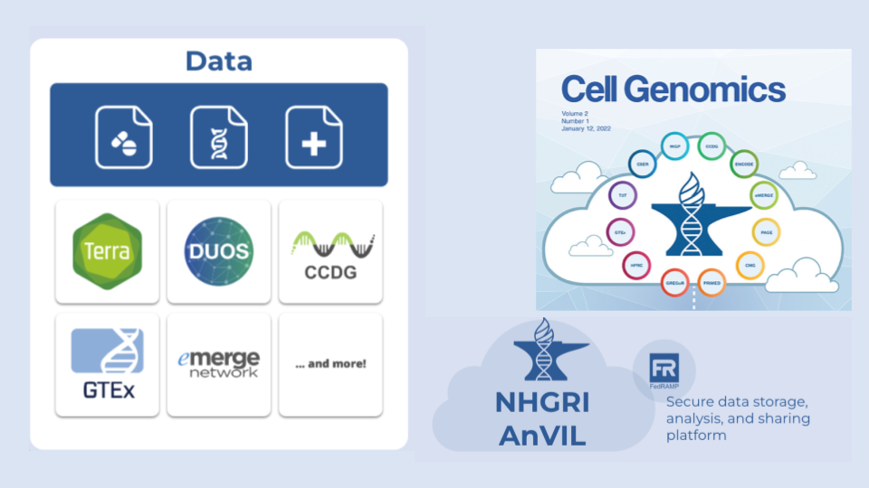With AnVIL you can upload your own data (signified by the plus sign) or browse cloud-hosted open and controlled access datasets to identify relevant datasets, importing or requesting access to those for your workspaces. Several consortia have data available on AnVIL with data deposits growing.