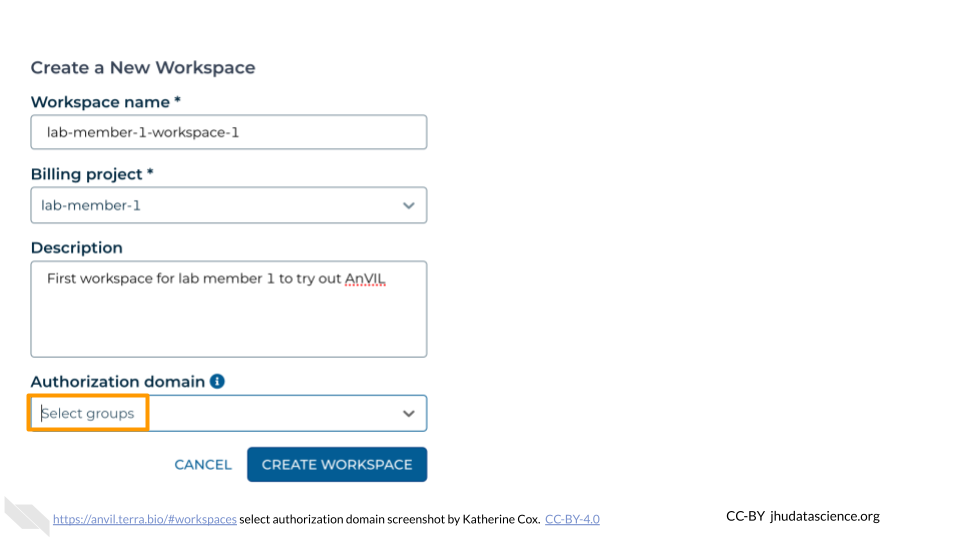 Screenshot of Terra dialog box for creating a new Workspace. The drop-down menu labeled "Authorization domain" is highlighted.