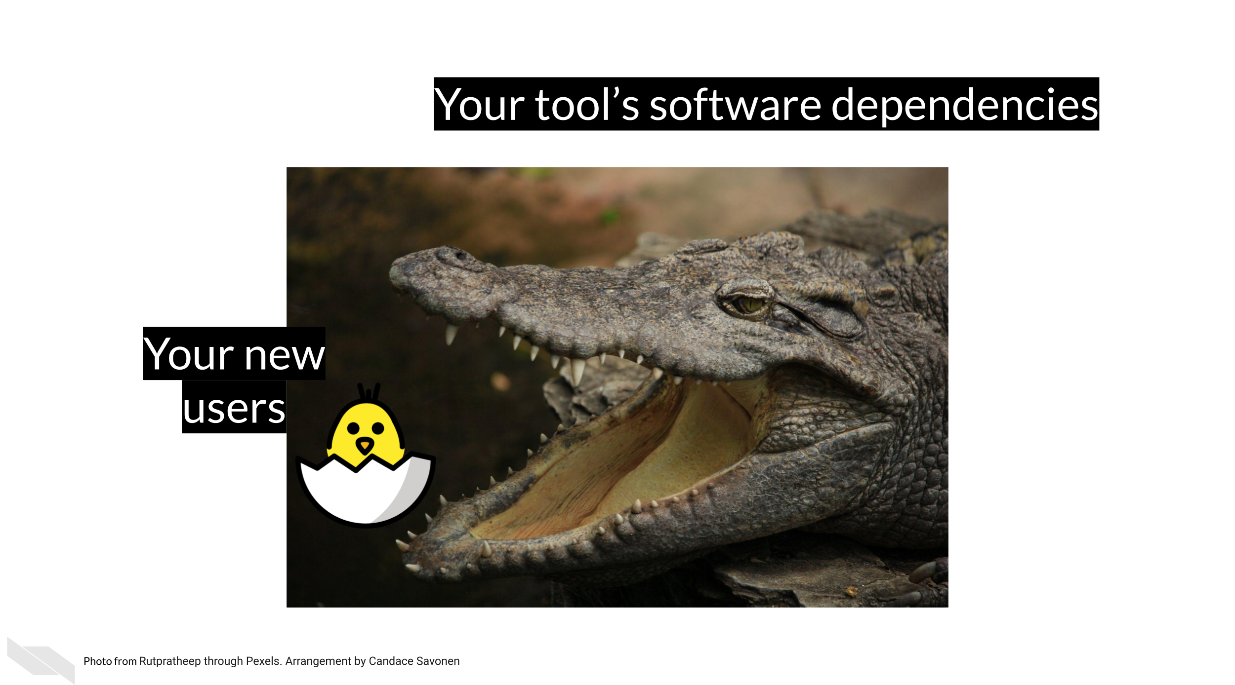 Your new users are represented as a baby chick emoji who is surrounded by a photo of an alligator labeled with your tool’s software dependencies. Software dependencies and other installation problems can easily overwhelm new users.