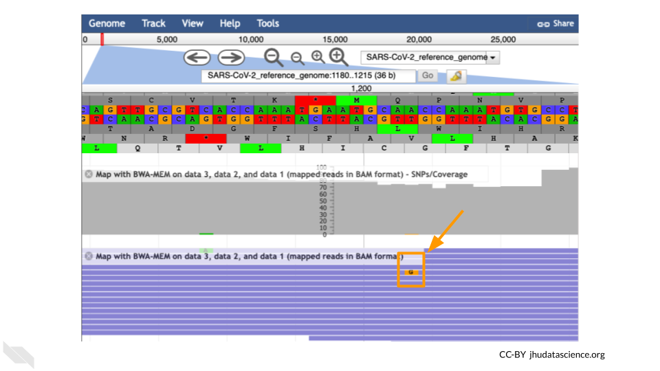 Screenshot of JBrowse viewer at base 1203 in the genome. A single base in a single read has been highlighted indicating a shift in that read to a G. This difference is not likely to represent the sample as a whole.