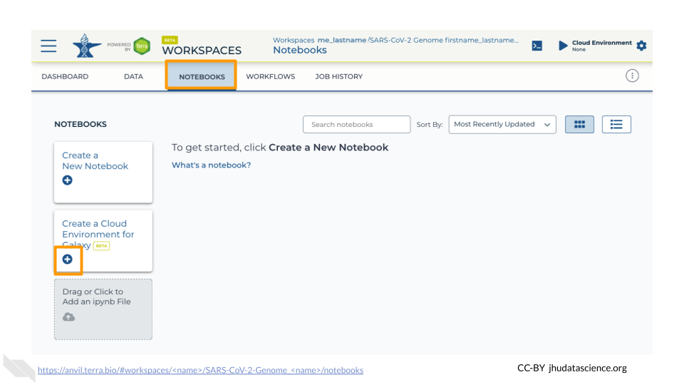 Screenshot of the Workspace Notebooks tab. The notebook tab name and the plus button that starts a cloud environment for Galaxy have been highlighted,