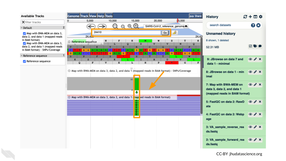 Screenshot of JBrowse viewer at base 24410 in the genome. The search bar has been highlighted and shows that 24410 has been entered. A SNP has been highlighted indicating a shift from G to A. The SNP is readily visible because it is a different color (green).