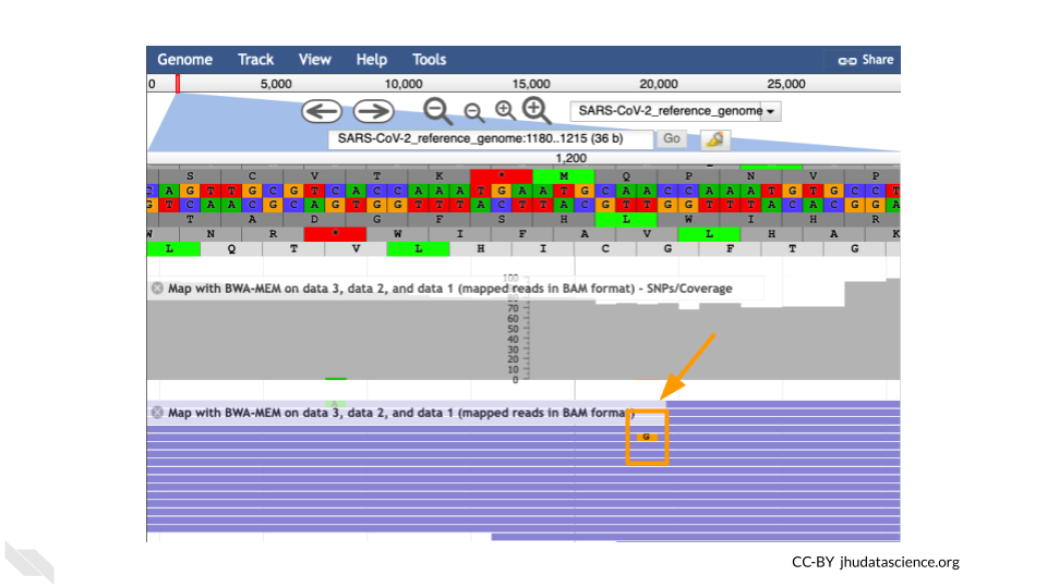 Screenshot of JBrowse viewer at base 1203 in the genome. A single base in a single read has been highlighted indicating a shift in that read to a G. This difference is not likely to represent the sample as a whole.