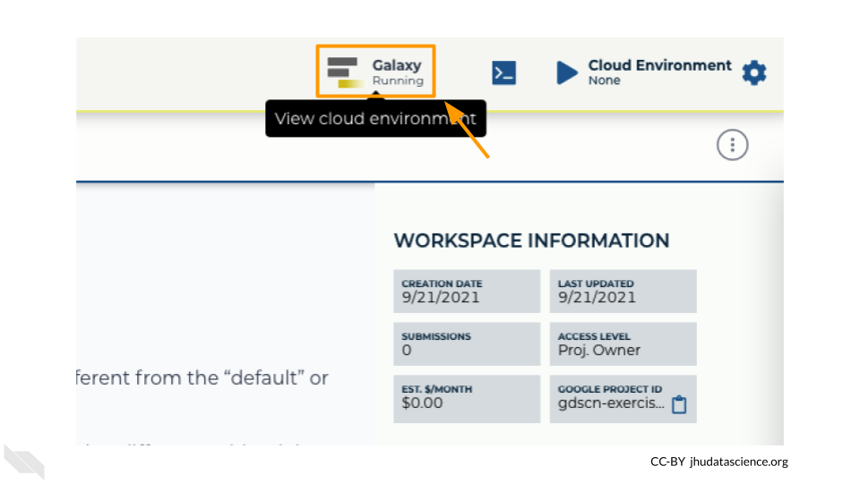 Screenshot of the Workspace menu. The currently running Galaxy cloud environment logo on the top right of the page is highlighted.