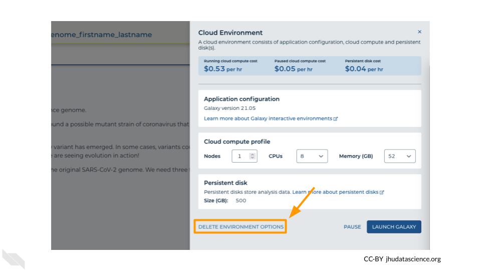 Screenshot of the cloud environment pop out menu. The “DELETE ENVIRONMENT OPTIONS” link is highlighted.