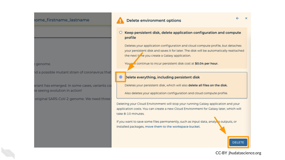 Screenshot of the cloud environment pop out menu. The “Delete everything, including persistent disk” radio button has been checked and is highlighted. The “DELETE” button is highlighted.