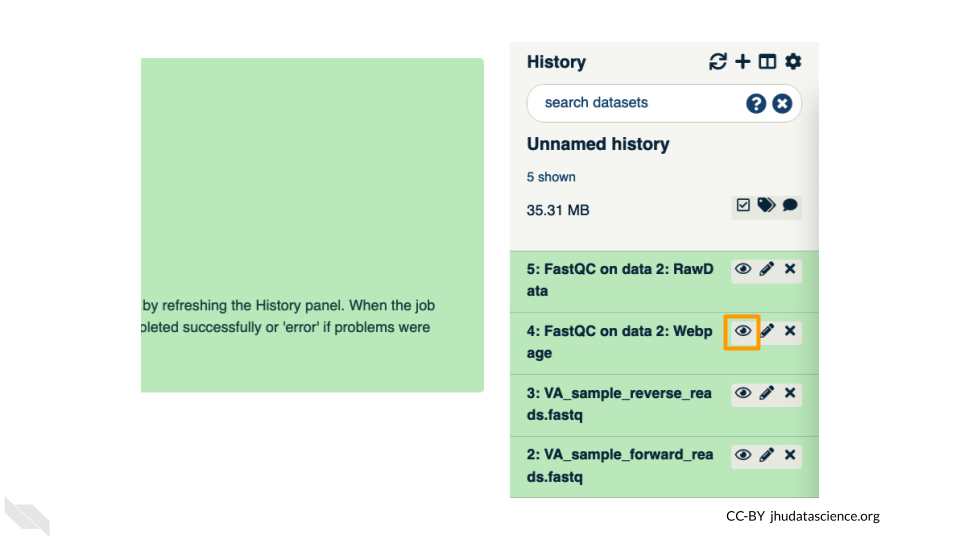 Screenshot of the Galaxy history pane. The eye icon beside the FastQC results data is highlighted.