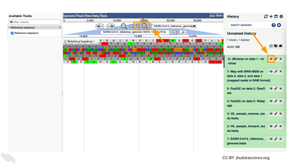 Screenshot of preliminary JBrowse results. The eye icon is highlighted, as it should be used to open the JBrowse viewer. The magnifying glasses in JBrowse are also highlighted as they enable zooming in to see the individual bases.