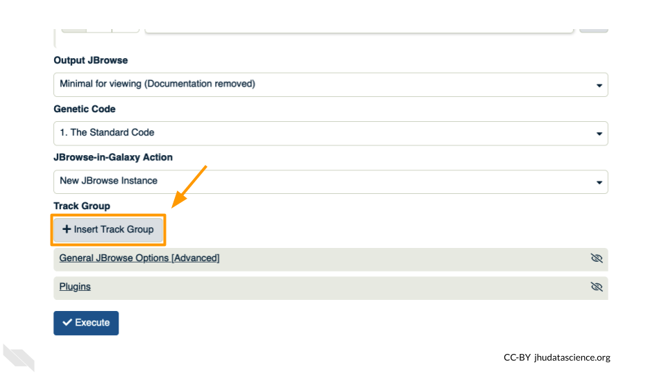 Screenshot of JBrowse options. The “+ Insert Track Group” button is highlighted.