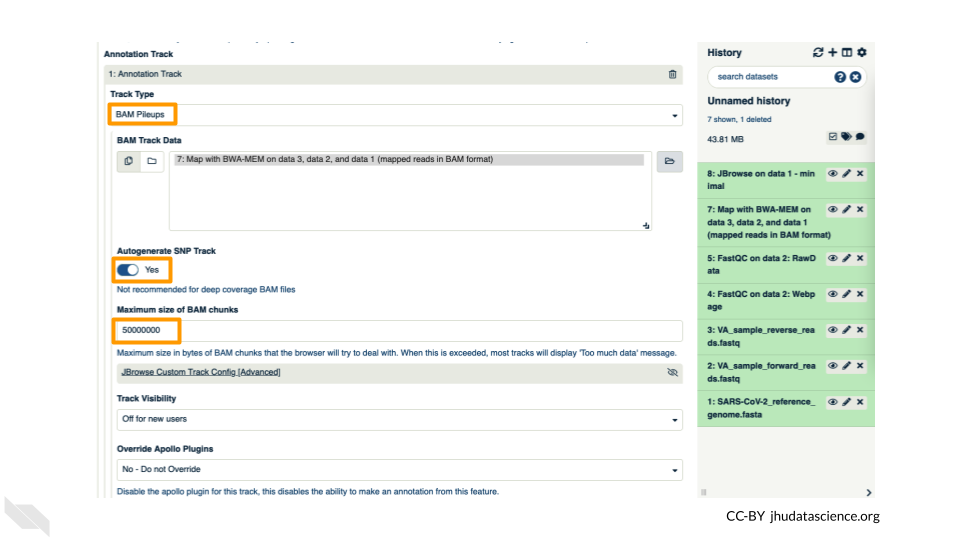 Screenshot of JBrowse options. The following options are highlighted: Track type (set to "BAM Pileups"), Autogenerate SNP Track (set to "Yes"), and Maximum size of BAM chunks (set to 50000000).