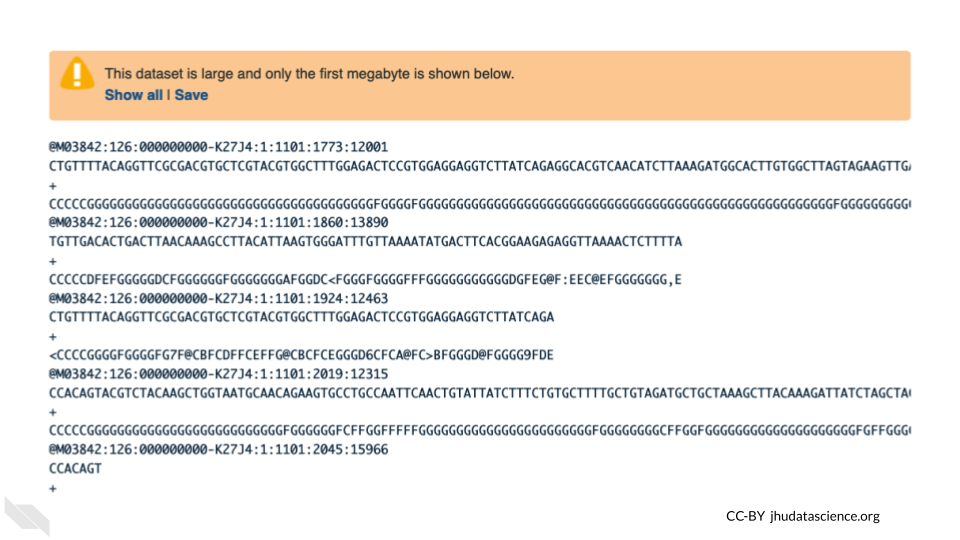 Screnshot of a fastq file. The data includes DNA sequences but also includes many coded characters, making it hard to understand.