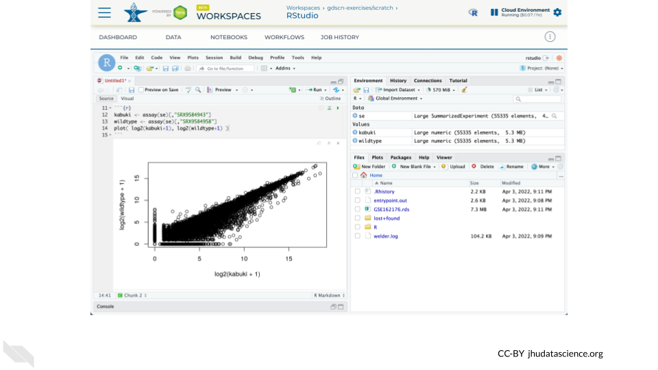 Screenshot of RStudio with an R Notebook that creates a scatterplot comparing kabuki and wildtype log2 counts.