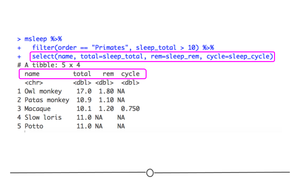 Chapter 3 Wrangling Data in the Tidyverse | Tidyverse Skills for Data  Science