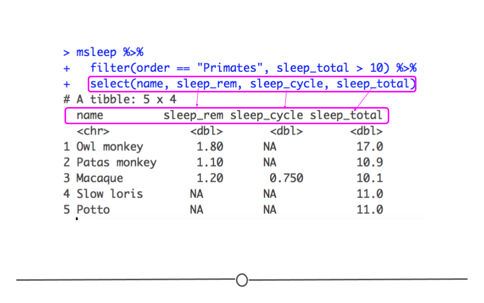 Chapter 3 Wrangling Data in the Tidyverse Tidyverse Skills for